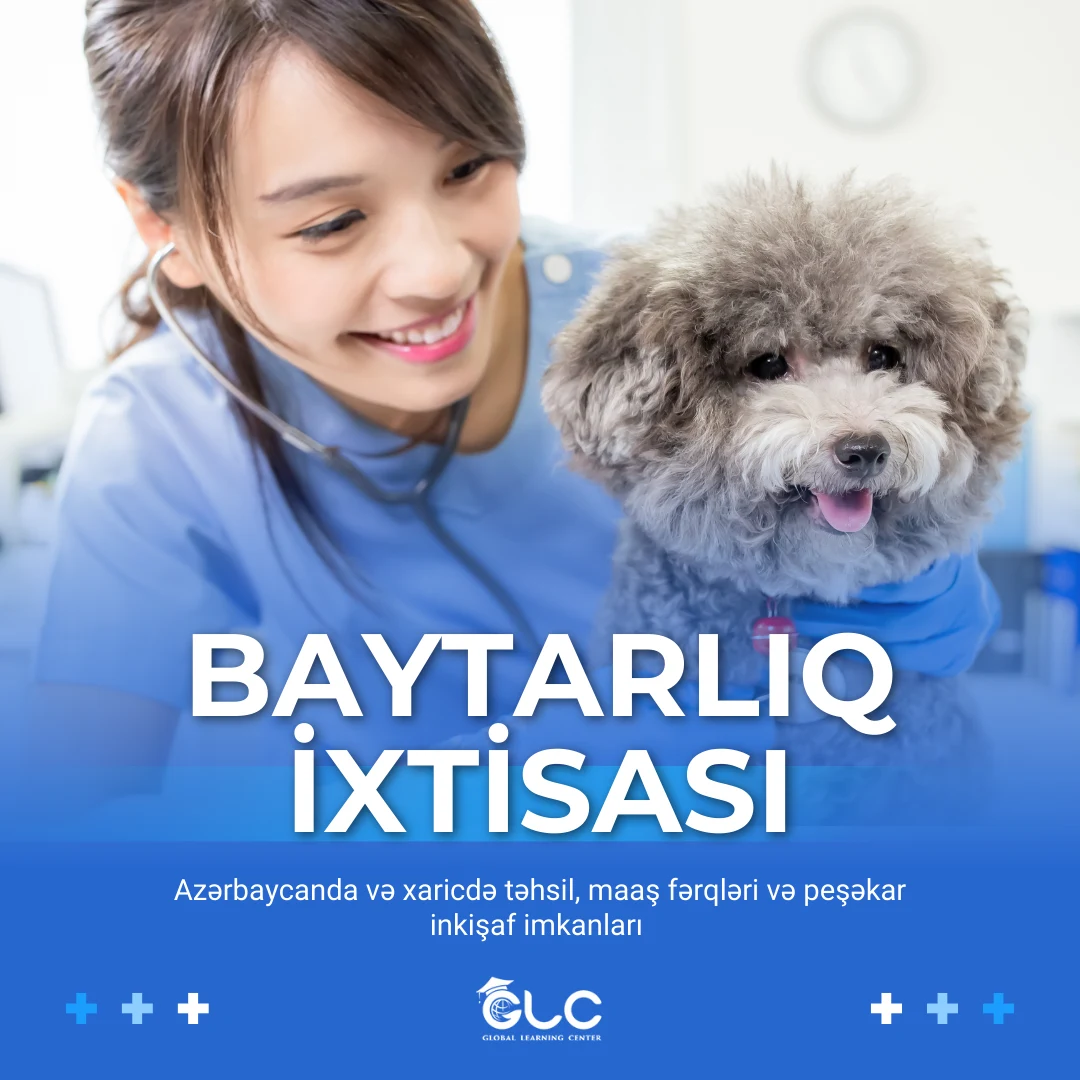 Baytarlıq ixtisası: Universitetlər, Fənlər və Maaşlar