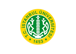 İstanbul Universiteti